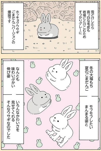 いろんなかわいさを見せてくれる