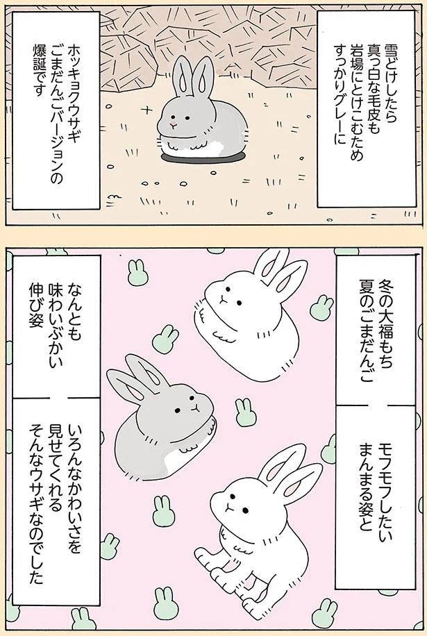 いろんなかわいさを見せてくれる