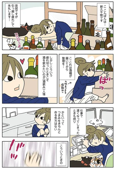 つまみをきちんと作る気力はない