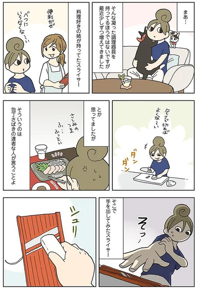 手を出してみたスライサー