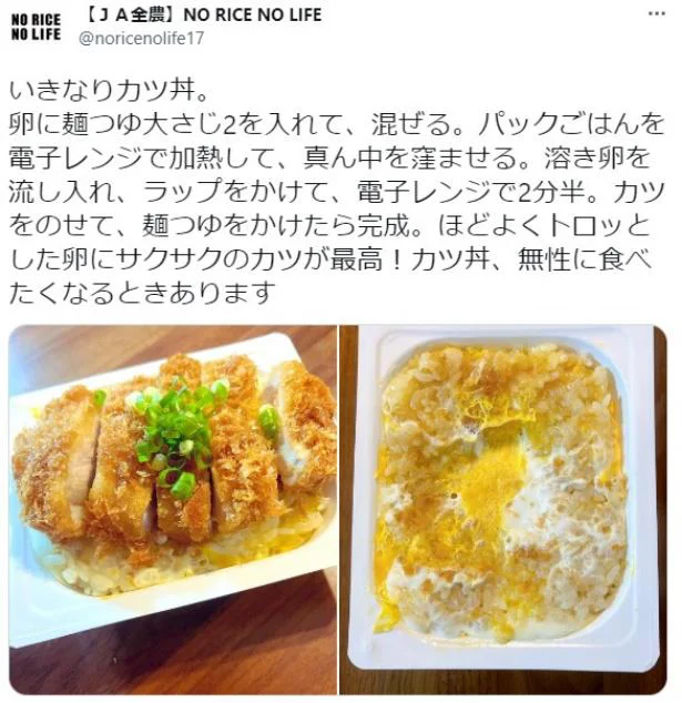 いきなりかつ丼