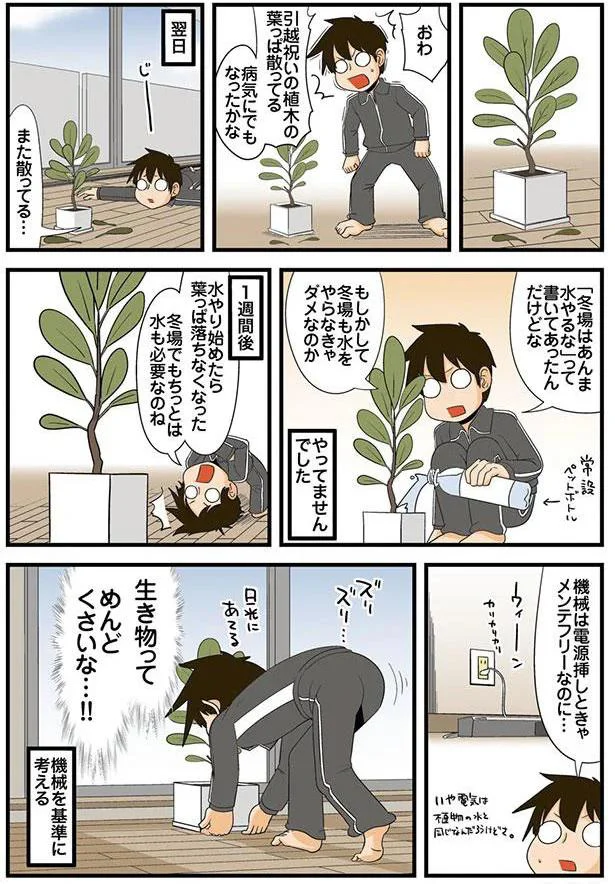 理系と植物