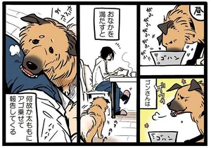 おなかを満たすとアゴをのせてくるうちの犬。それで起こる大惨事とは／雑種犬ゴンさんがダサかわいい（2）