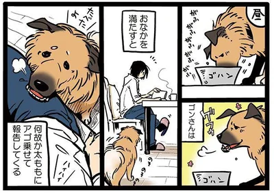 なぜアゴを？