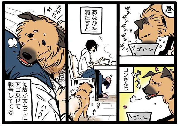 なぜアゴを?