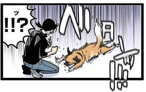 そんなおすわりある!? 普段あげない高級おやつに大興奮！／雑種犬ゴンさんがダサかわいい（4）