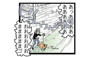 今日風強いなぁと思っていたら、ちょっとした油断で非常にヤバいことに！／雑種犬ゴンさんがダサかわいい（6）