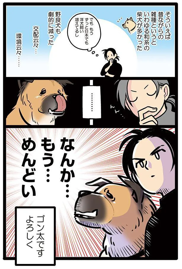 ゴン太です