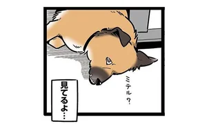 「見てる？」愛犬よ、そんなに圧かけなくてもちゃんとあなたのことは見てます／雑種犬ゴンさんがダサかわいい（12）