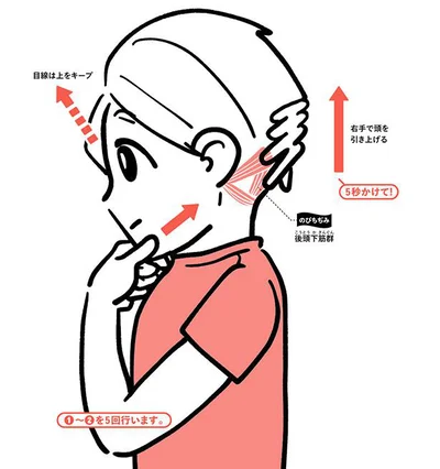 目線は上のまま、5秒かけて左手であごをゆっくり押し込みます