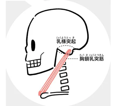 耳の後ろを押して痛い人は注意 ！