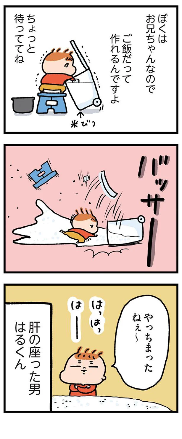 クリスマスツリーをなぎ倒し 双子男児の怪獣ぶりに母の怒りもツッコミも止まらない 嵐を生む双子怪獣 はるくんとあっくん 2 画像3 9 レタスクラブ