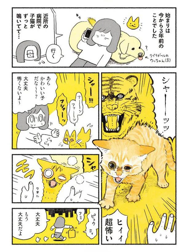 やっちゃんとの出会い