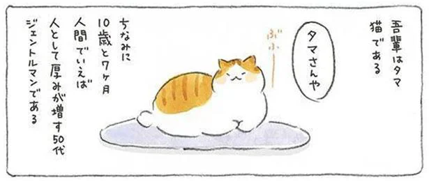 我輩はタマ　猫である