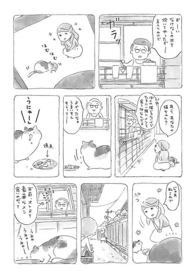 あら、あなたの猫ちゃん？