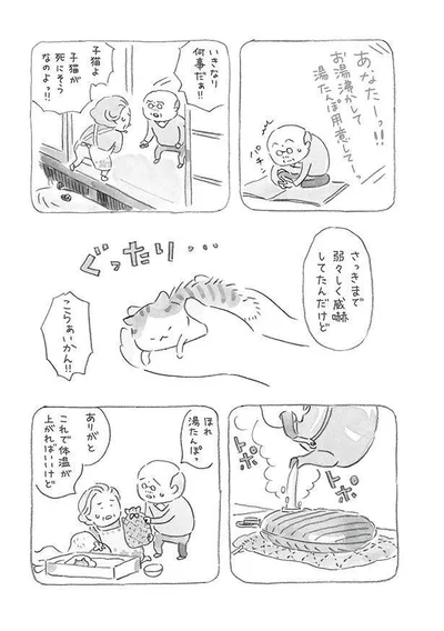 子猫が死にそうなのよっ！！
