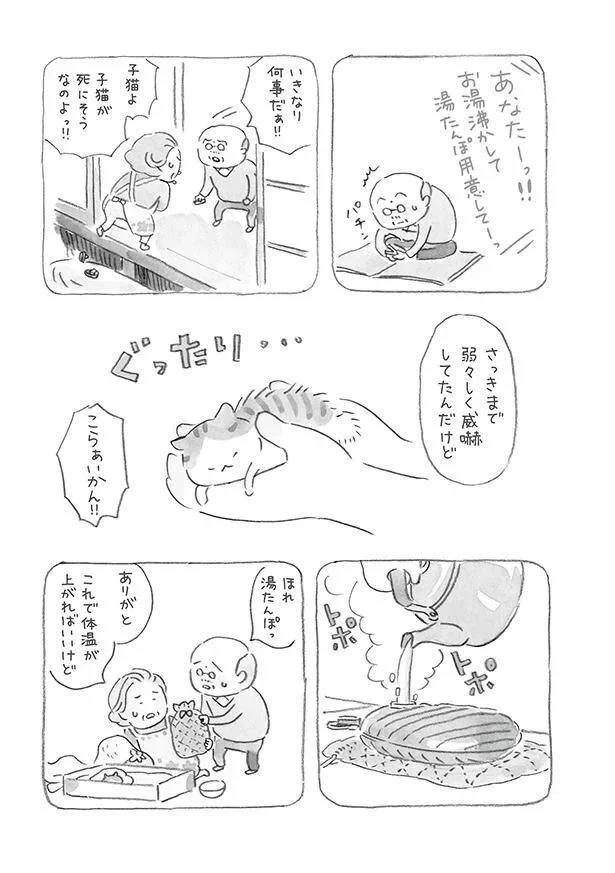 子猫が死にそうなのよっ！！