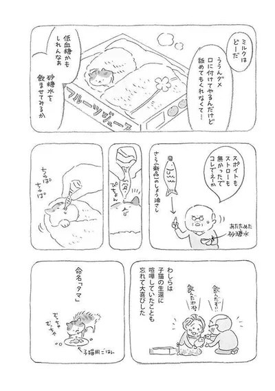 命名「タマ」