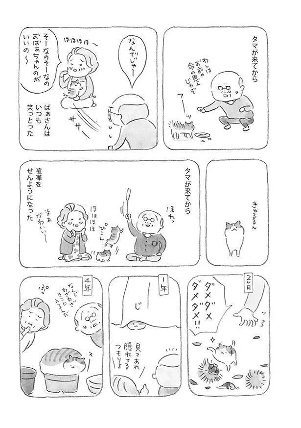 タマが来てから　ばぁさんはいつも笑っとった