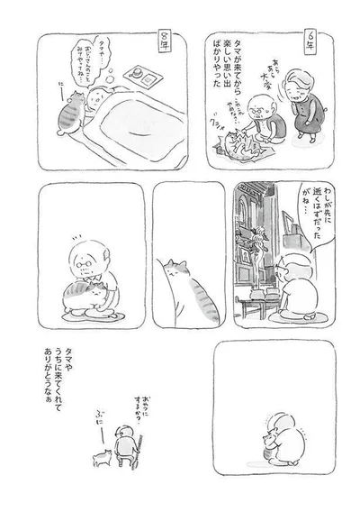 タマが来てから楽しい思い出ばかりやった