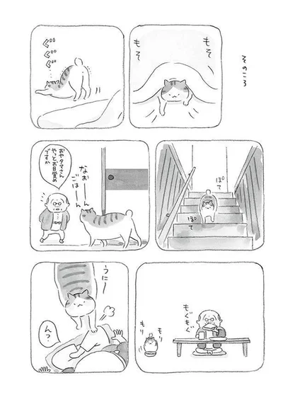 おやタマさん　やっとお目覚めですか