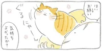 ぽかぽかの縁側でしたいことは？じいちゃんと猫の幸せ時間／ねことじいちゃん2（2）