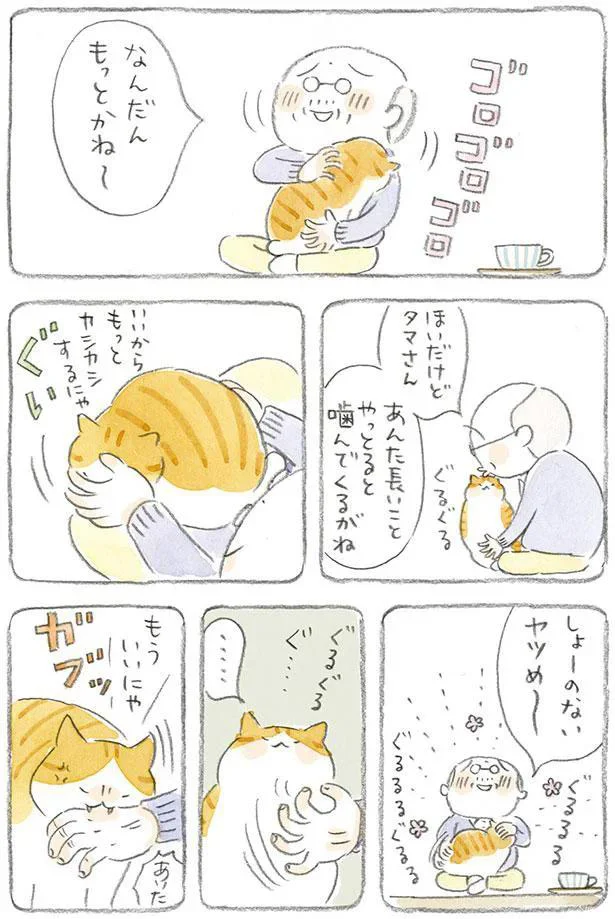 しょーのないヤツめ～