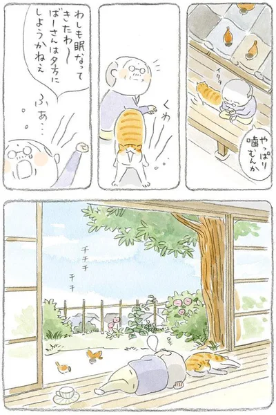 ばーさんは夕方にしようかねぇ