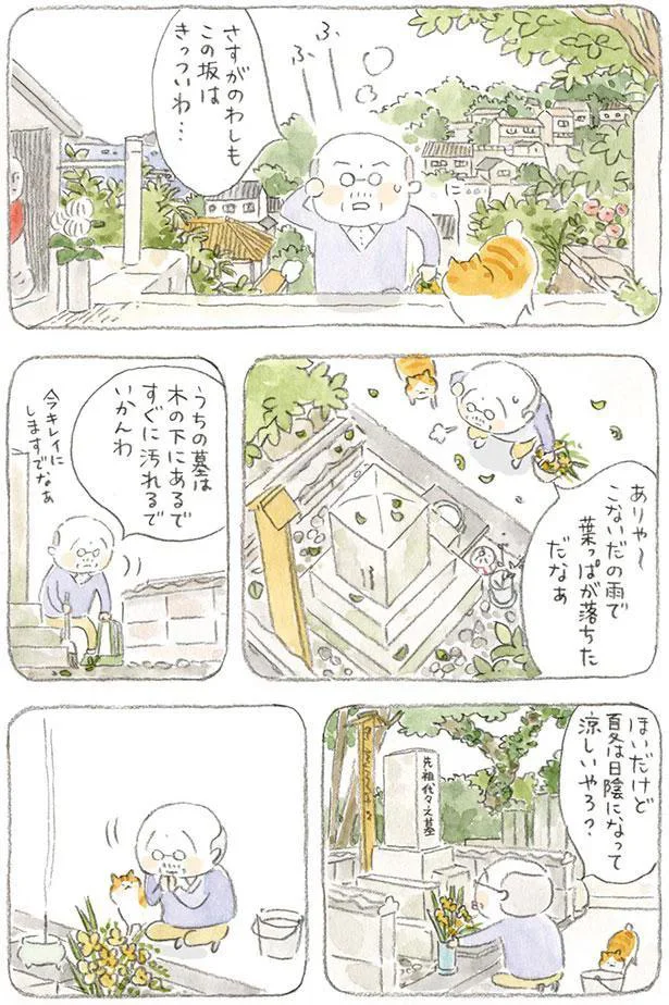 うちの墓は木の下にあるで　すぐに汚れるでいかんわ