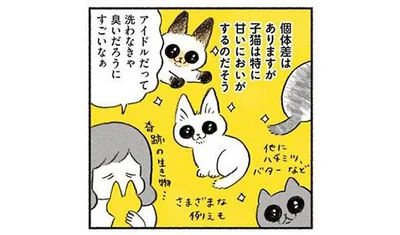 子猫は特に甘いにおいがするのだそう