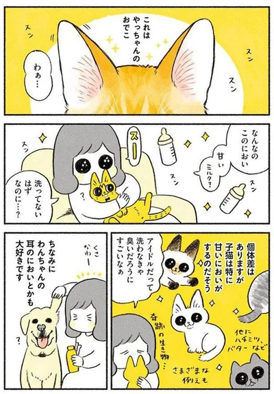 やっちゃんのにおい