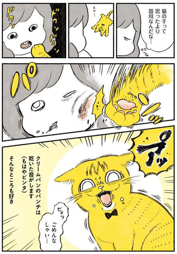 猫の手って思ったより器用なんだな…