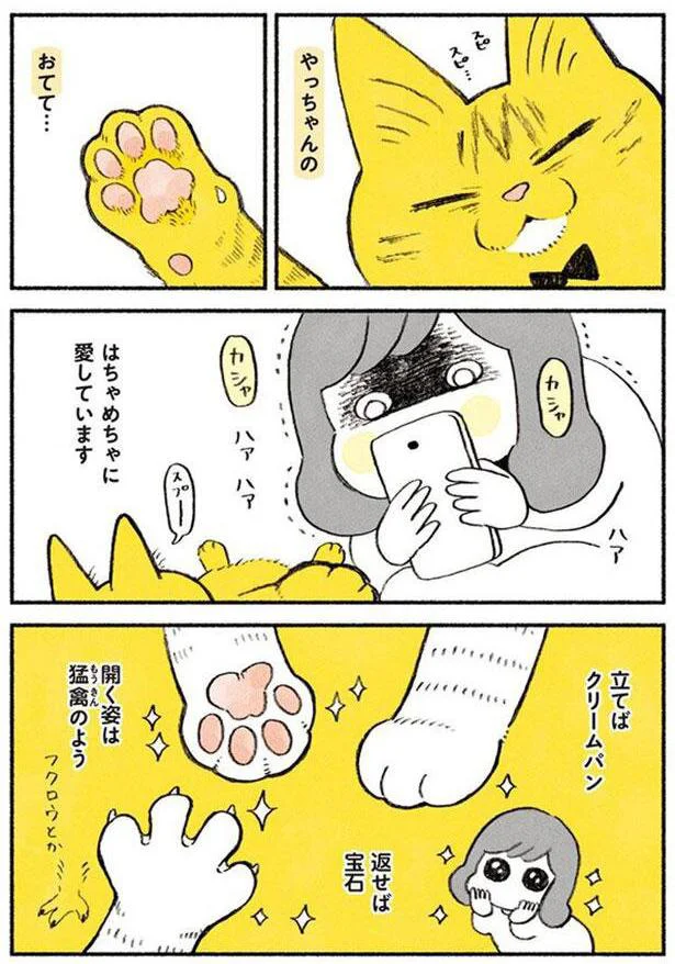 はちゃめちゃに愛しています