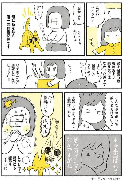 やっちゃんと母