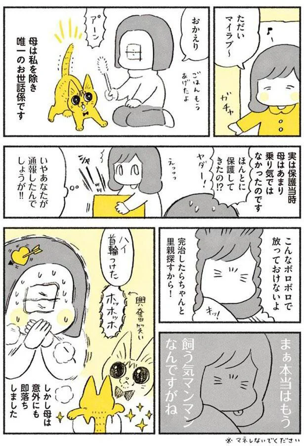 やっちゃんと母