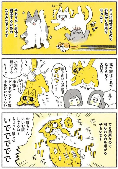 神様にグッドデザイン賞をあげたいくらい