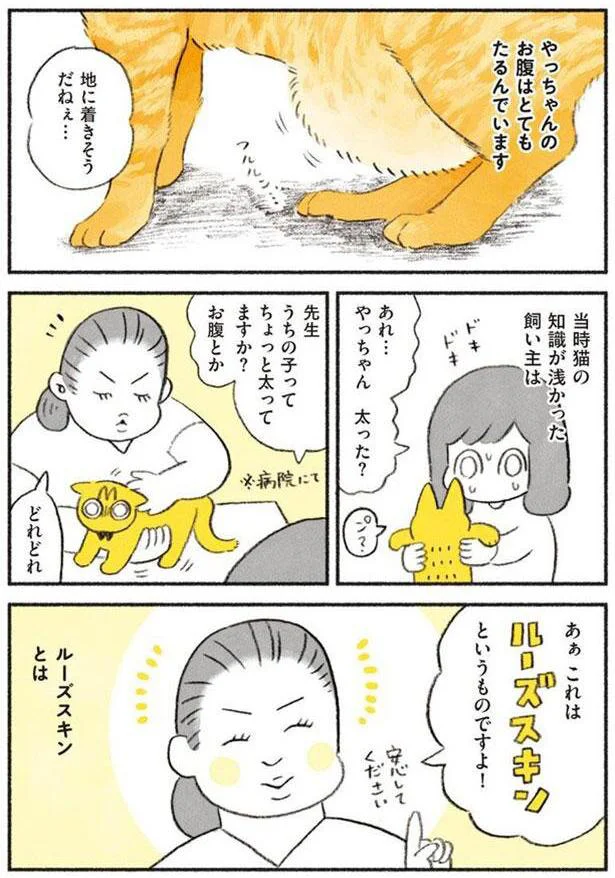 やっちゃんのお腹