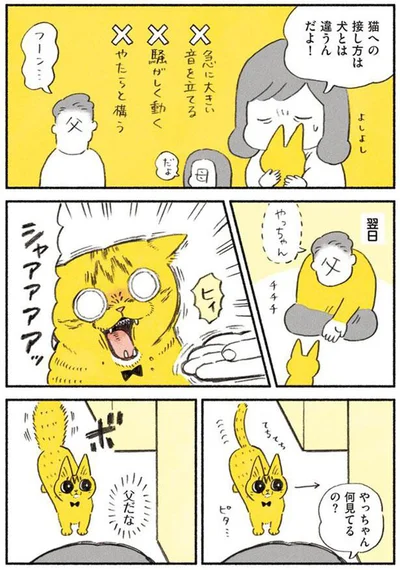 やっちゃん何見てるの？