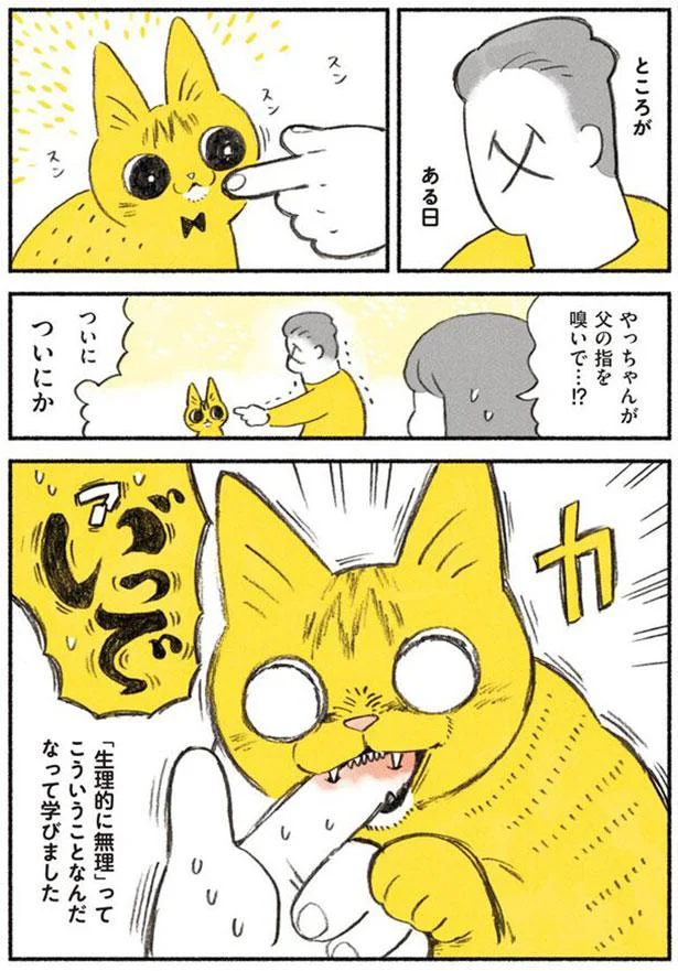 やっちゃんが父の指を嗅いで…！？