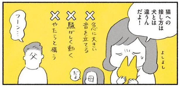 猫への接し方は犬とは違うんだよ!