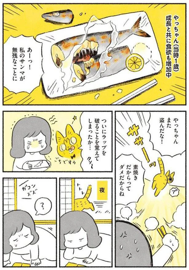 やっちゃんの食欲