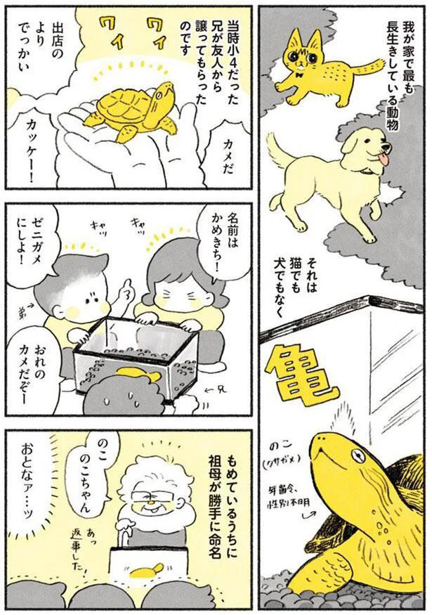 やっちゃんとのこちゃん