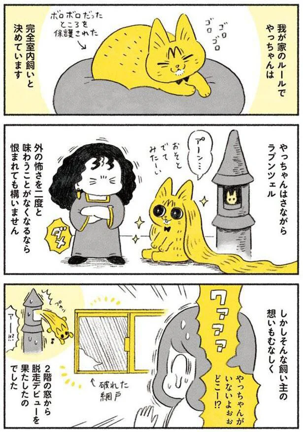 はじめての脱走