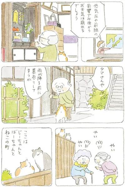 お天気は崩れるでしょう