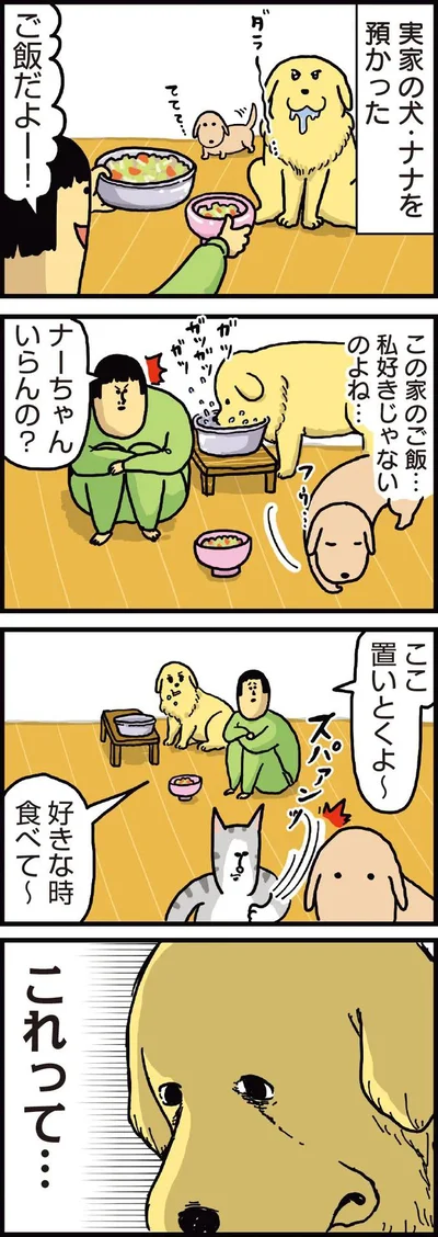 『まめきちまめこニートの日常　こまちとタビ1』より