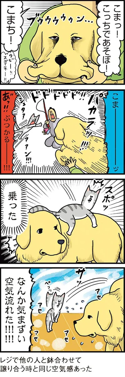 『まめきちまめこニートの日常　こまちとタビ1』より