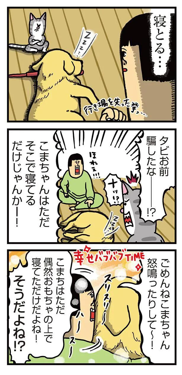 『まめきちまめこニートの日常　こまちとタビ2』より