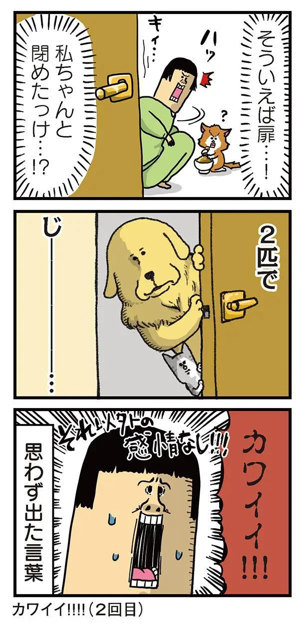 『まめきちまめこニートの日常　こまちとタビ2』より