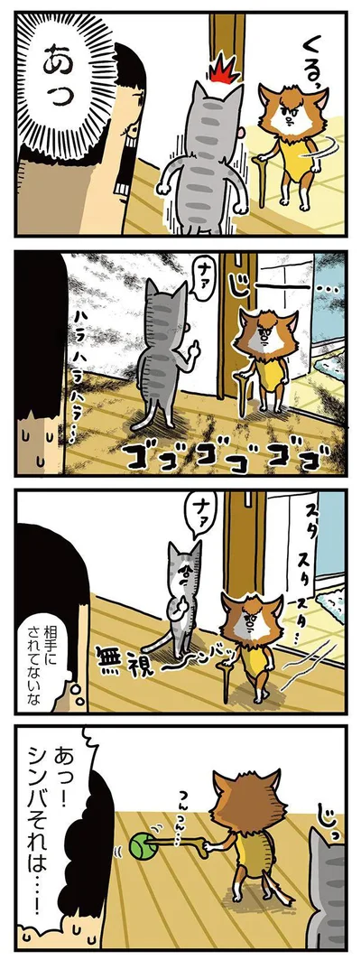 『まめきちまめこニートの日常　こまちとタビ2』より