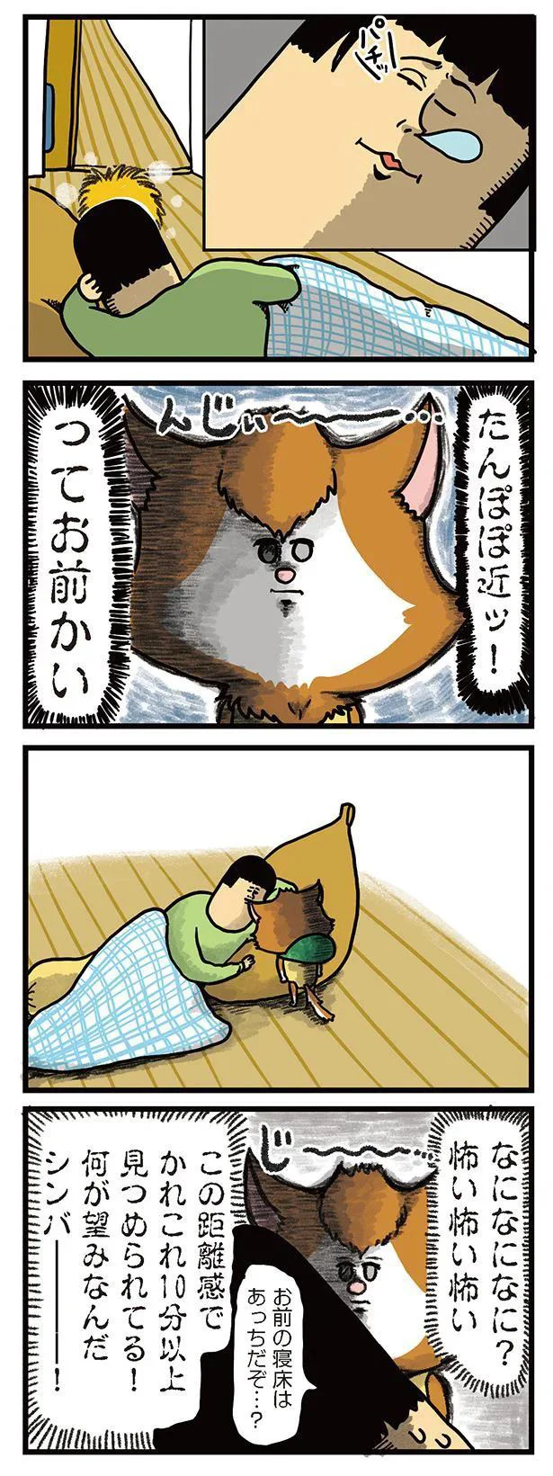 『まめきちまめこニートの日常　こまちとタビ2』より